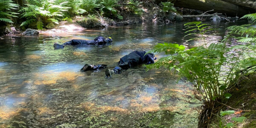 Two people snorkel in a shallow creek.
