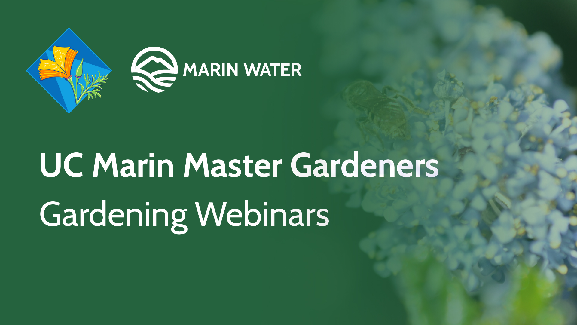 Marin Master Gardeners