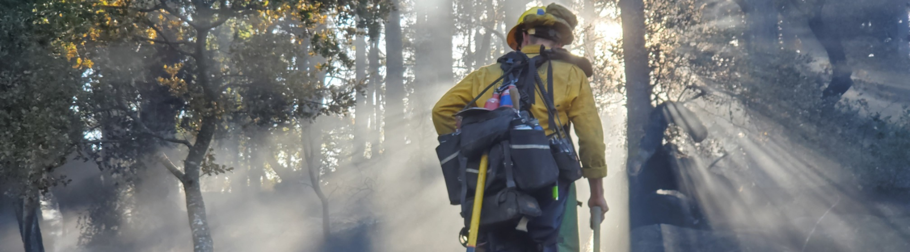 A firefighter faces a smoky forest.