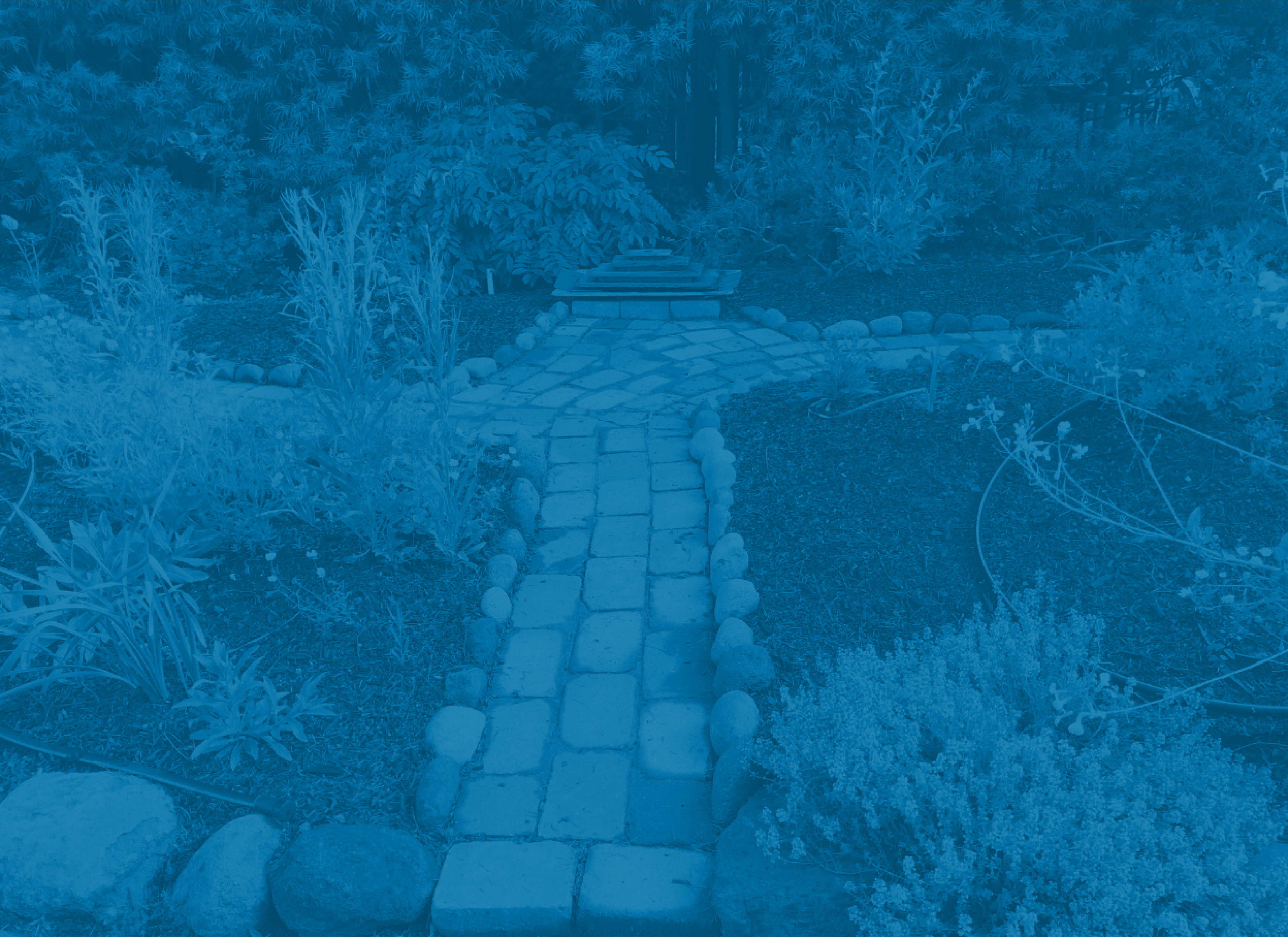 Button image showing a paved walkway runs through a home garden