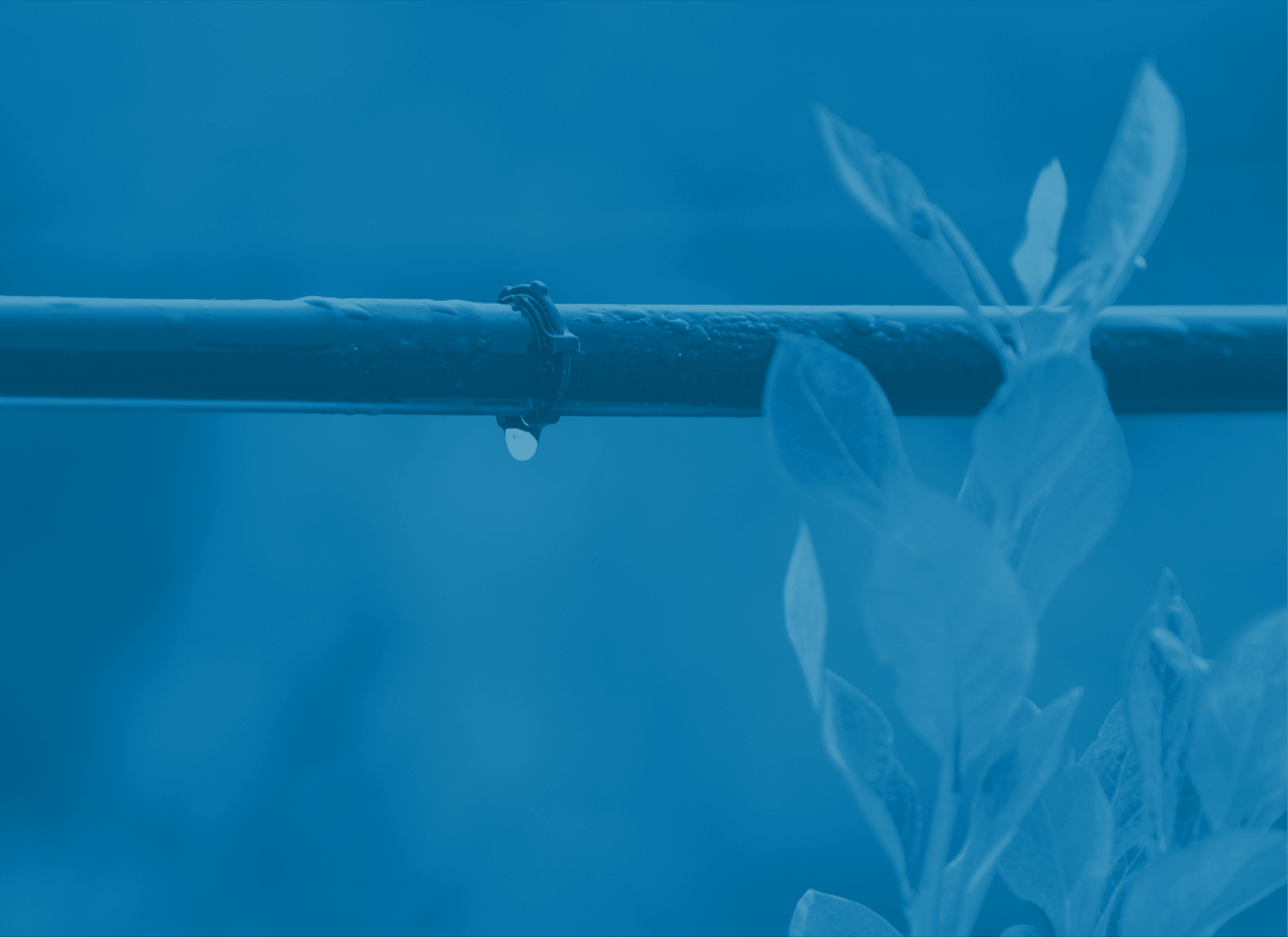 Button image showing a water drop hangs below a drip irrigation line near a plant