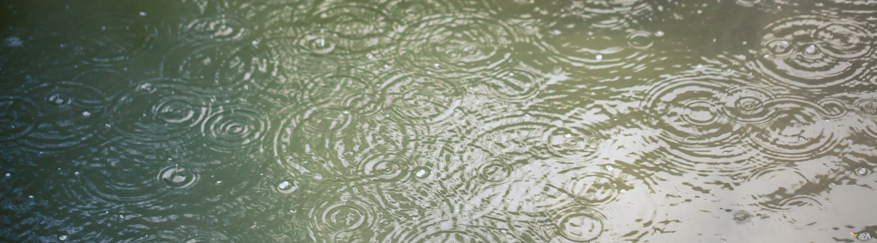 Rain drops on a body of water