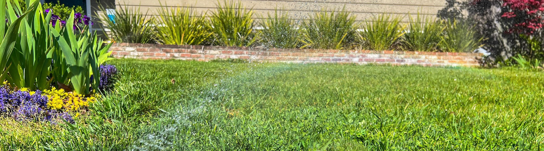 Water spray over a residential lawn.
