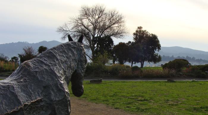 Marin Master Gardeners