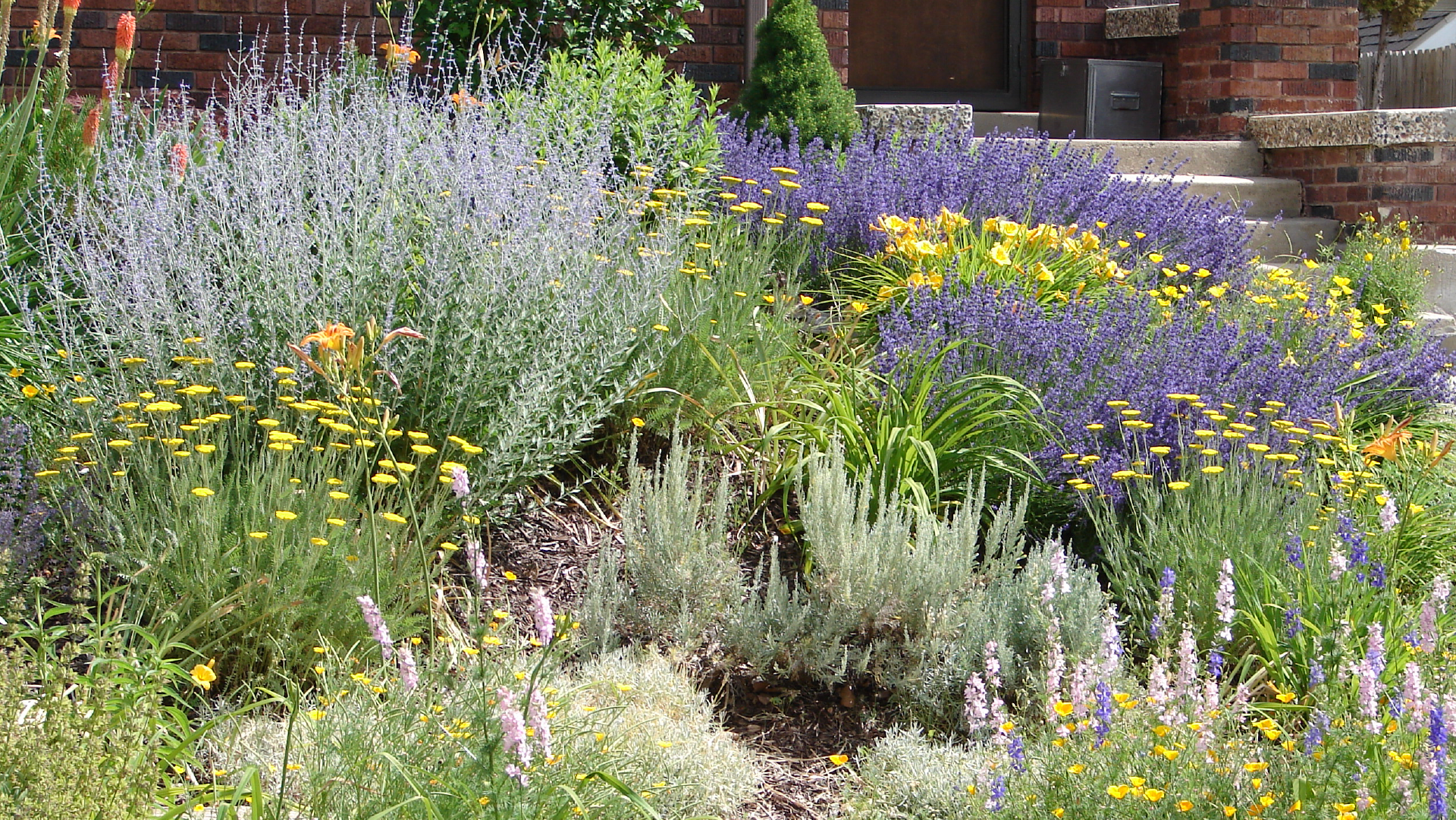 Marin Master Gardeners