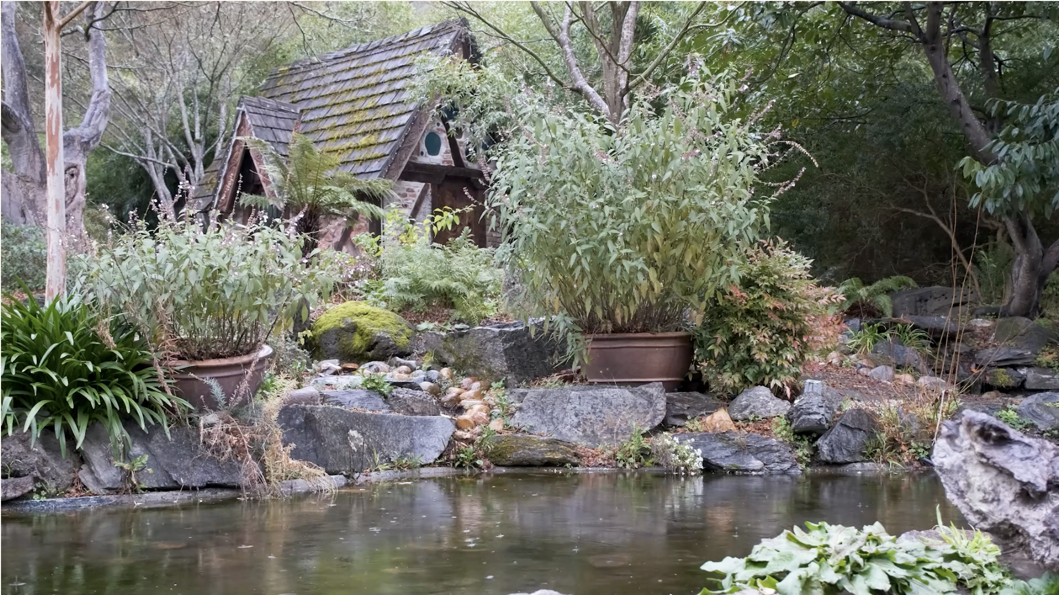 Marin Master Gardeners
