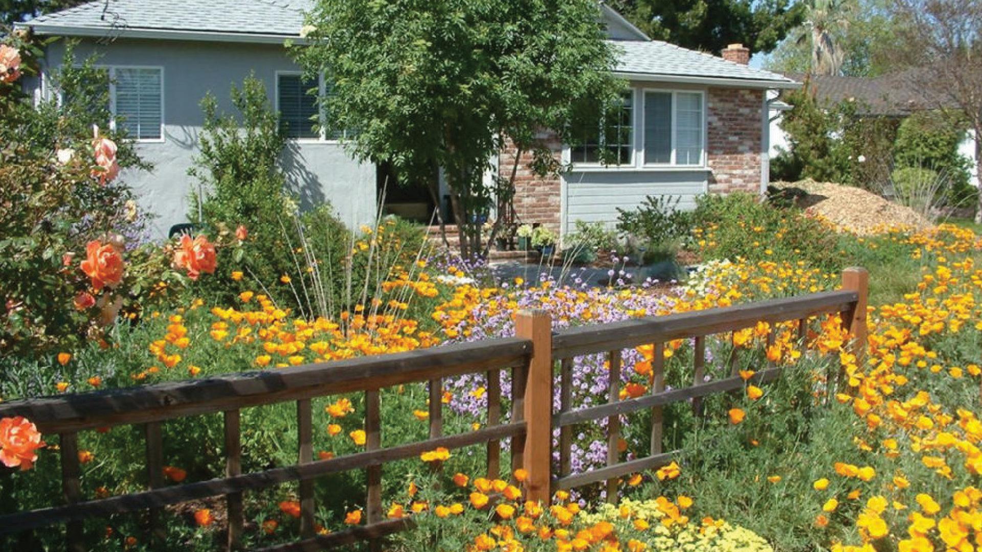 Marin Master Gardeners