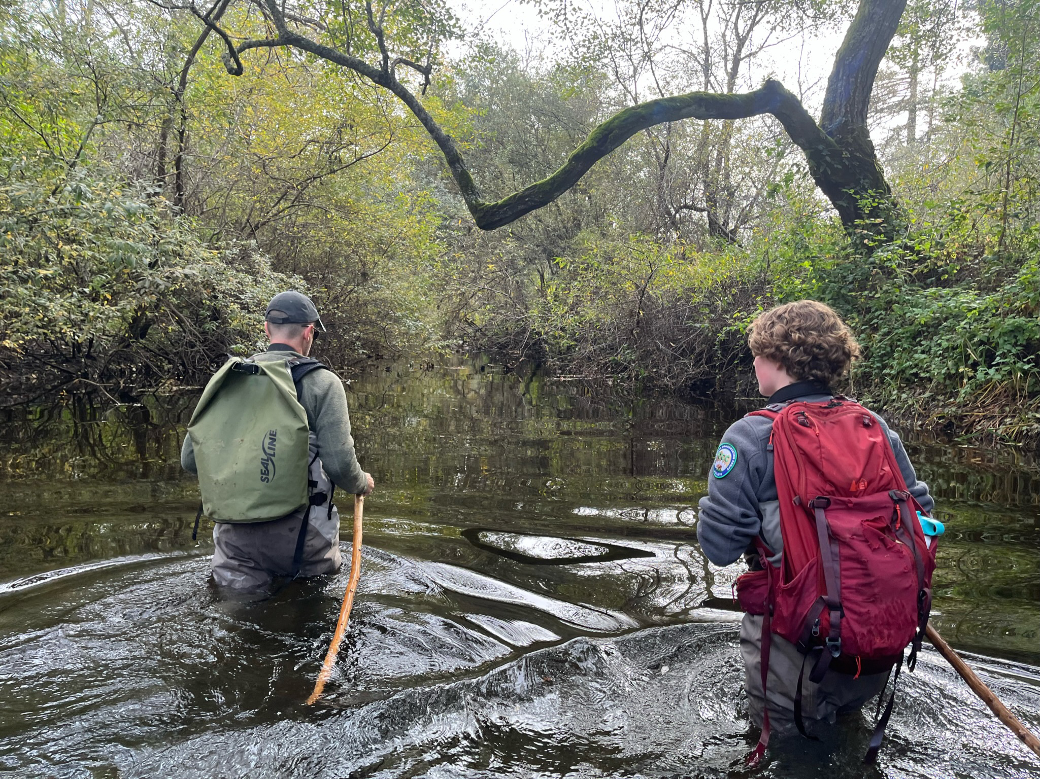 A man and woman wearing backpacks wade in the middle of a creek.