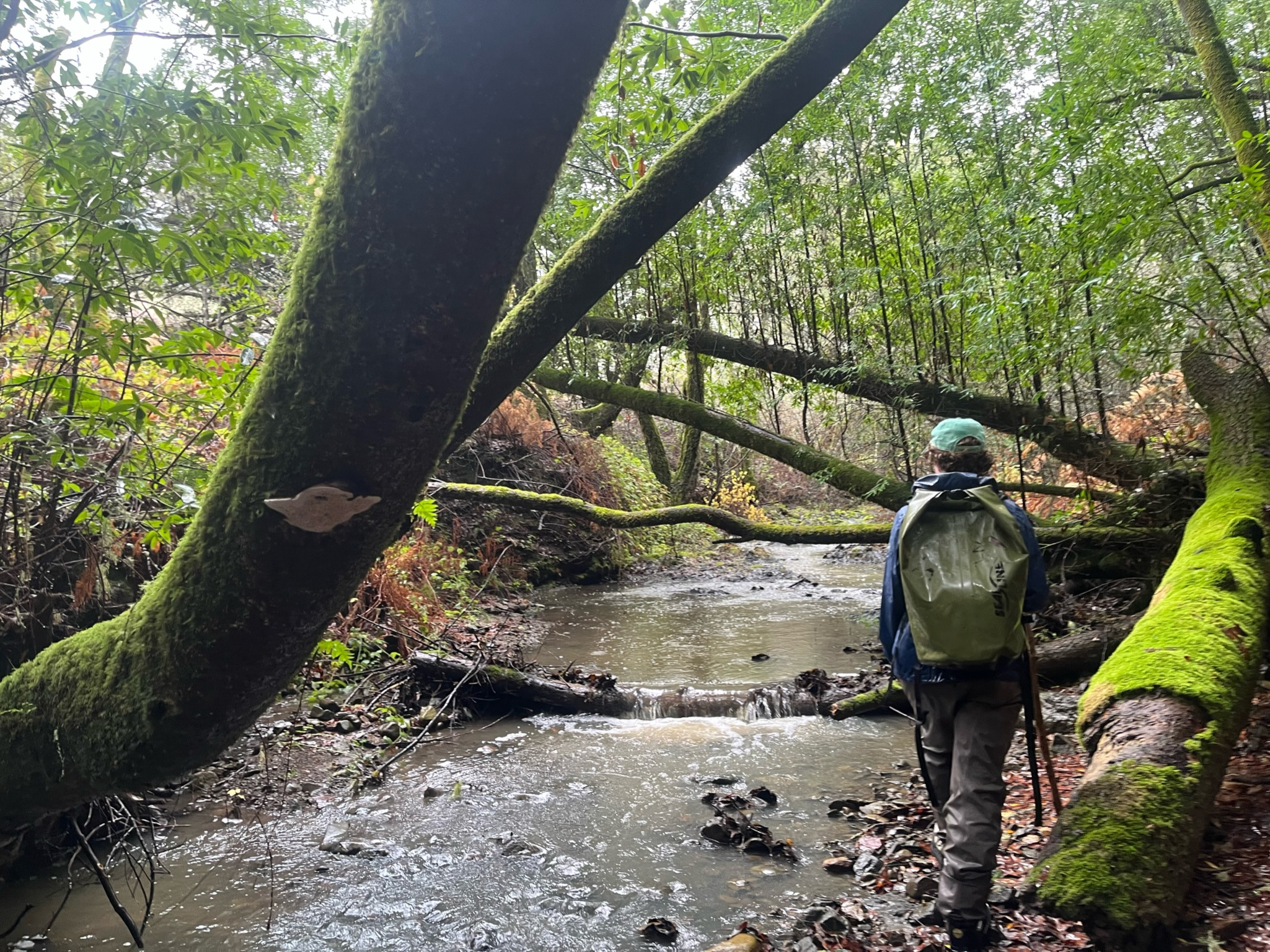 A woman wearing a backpack walks along a creek in the rain.