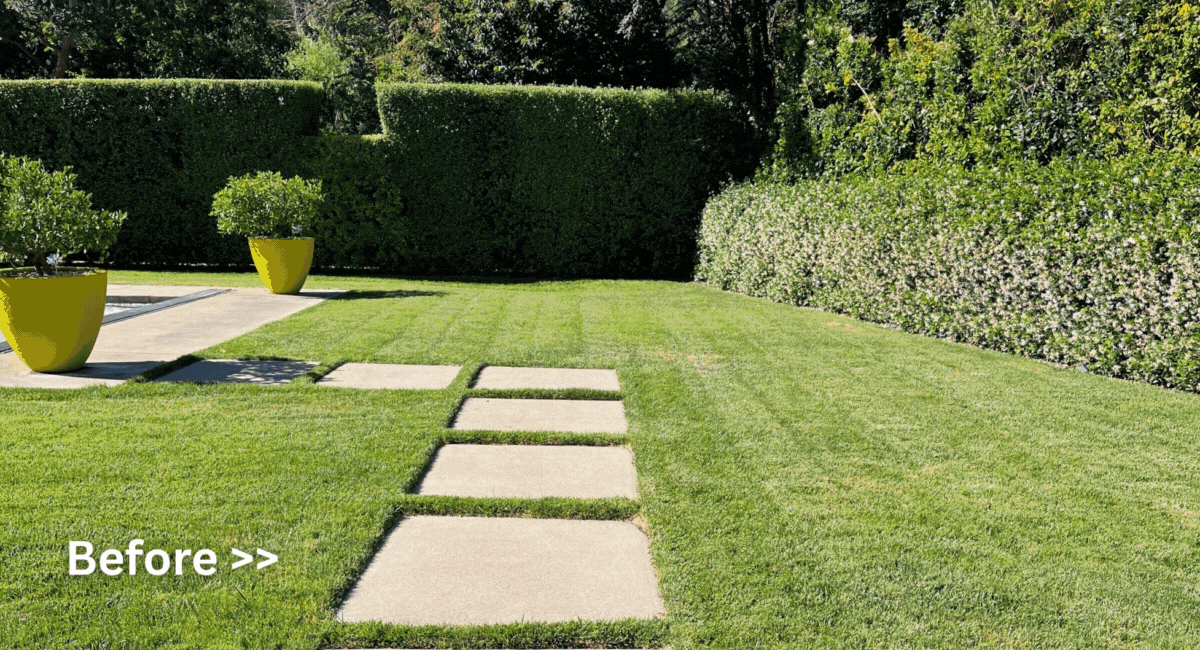 Animated before-and-after photos of Marin Water customersâ yards. Lawns are replaced with a variety of water-efficient landscapes featuring drought-tolerant plants, mulch, and sustainable designs through Marin Waterâs Cash for Grass program.