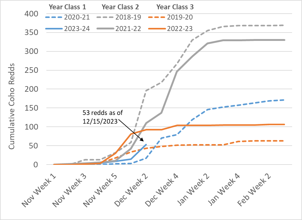 A graph shows 53 Coho redds as of 12/15/2023 in comparison to previous years.