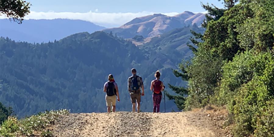 people walking on a trail