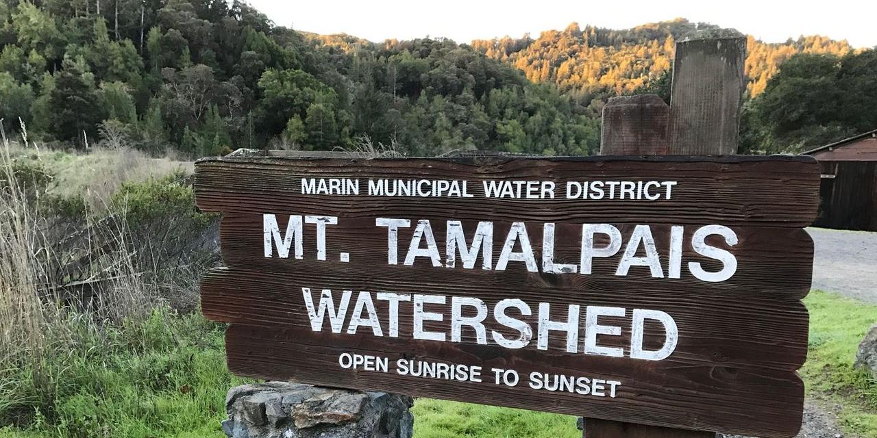 Mt. Tamalpais Watershed Wooden Sign