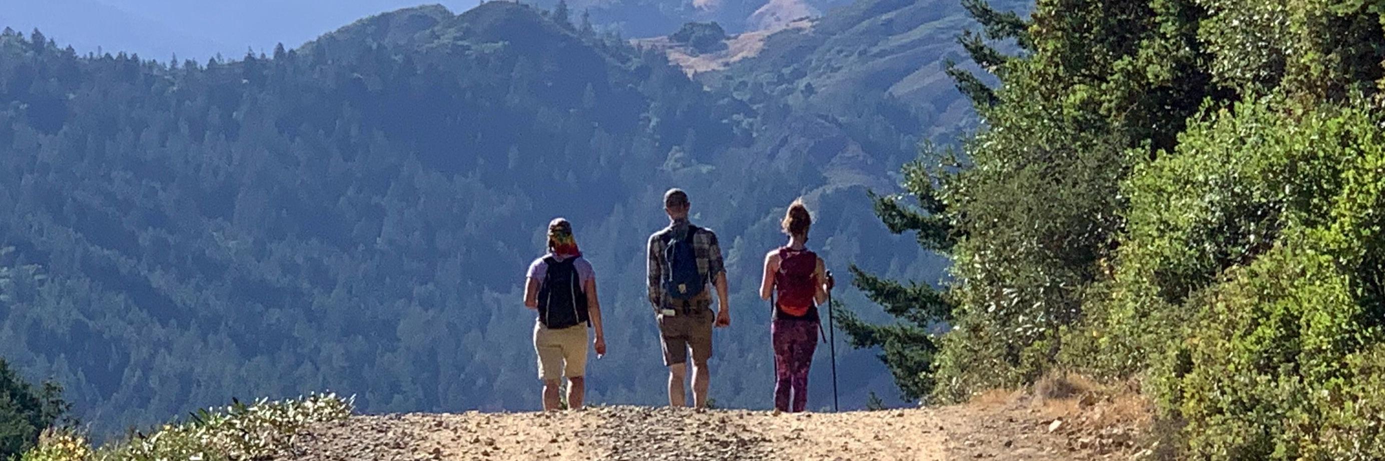 Hikers