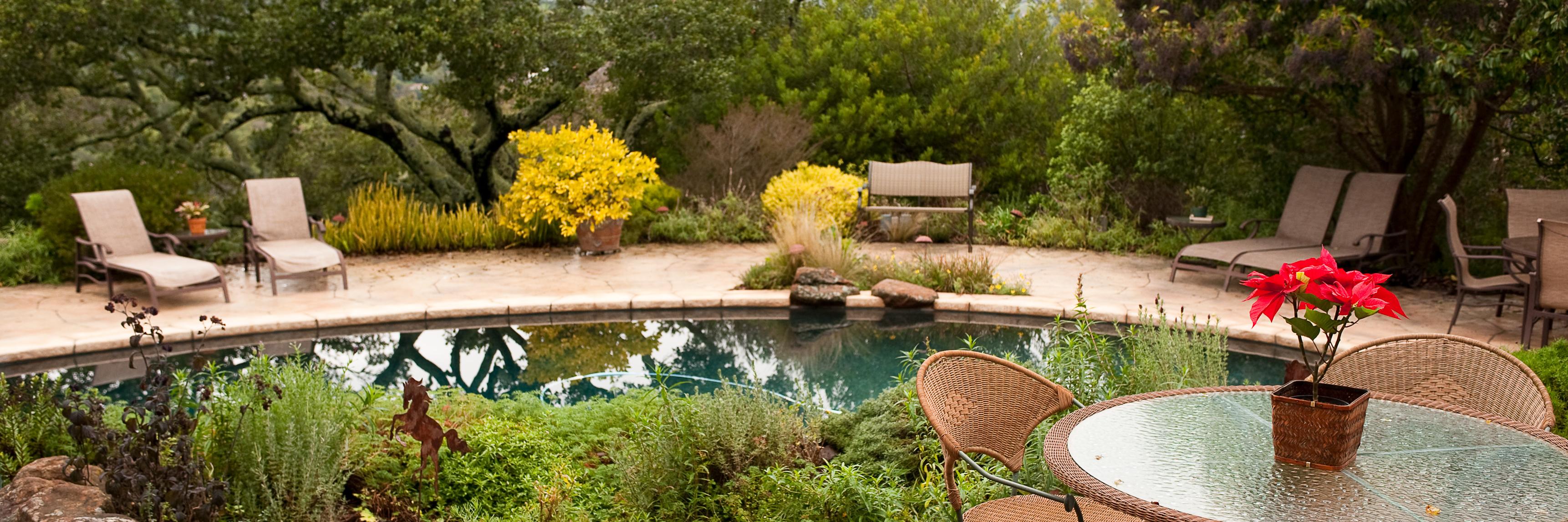 landscaping around a pool 