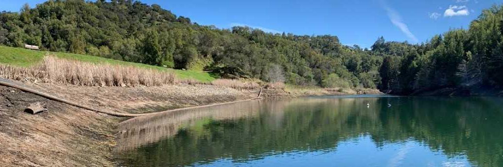 phoenix low water level