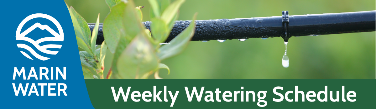 Hero Weekly Watering Schedule