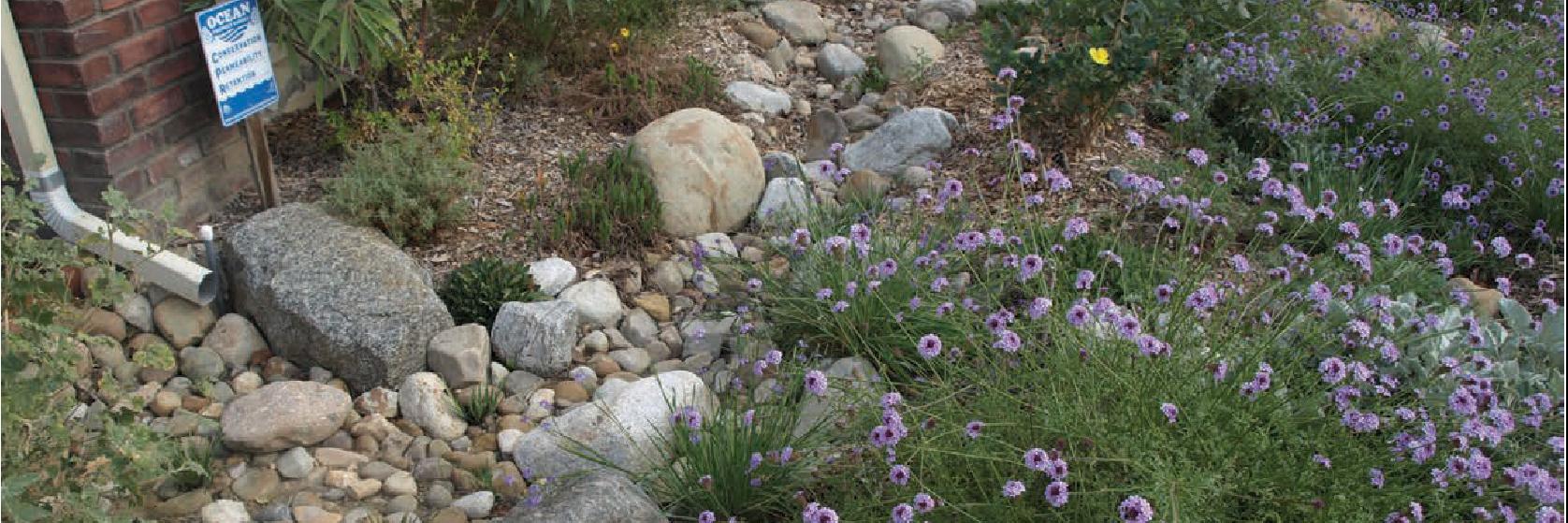 Rain Catching Garden