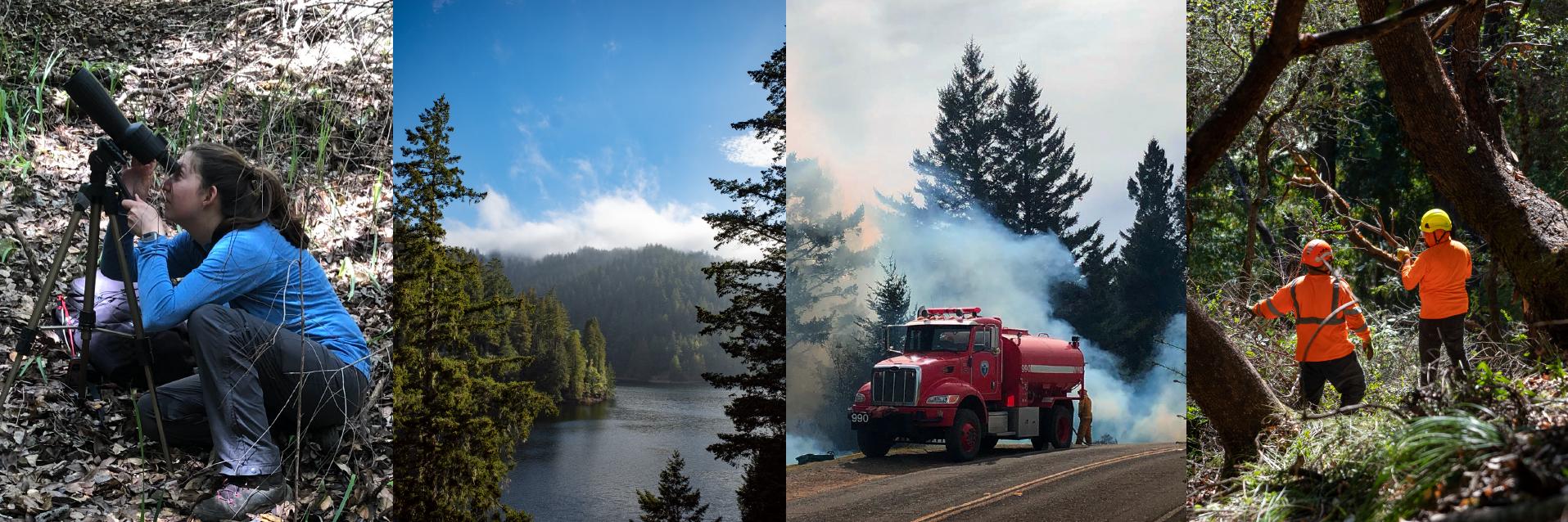 Composite of watershed , scoping, fire fighting, and forest health field work