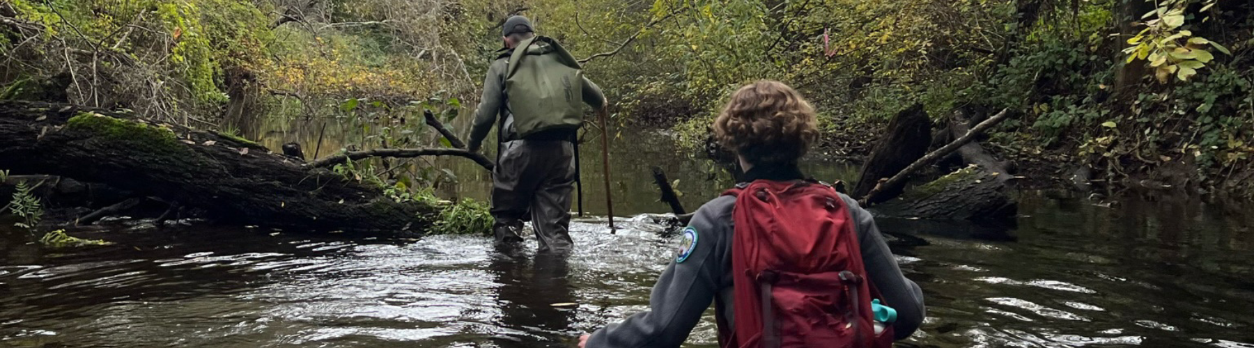 Two people wade in a creek.