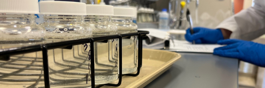 Water samples and hands in a laboratory