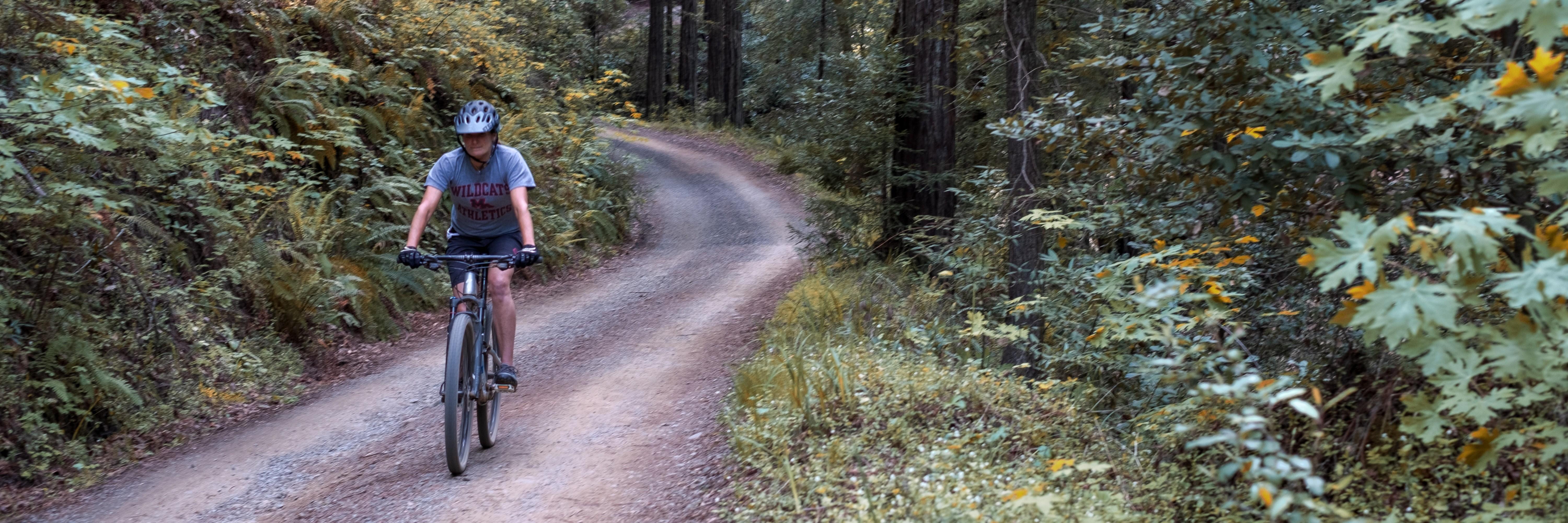 A biker rides on a fire road in a forest
