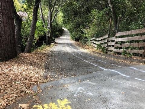 A street with white spray paint down the middle