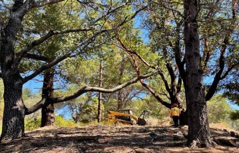 Worker and equipment in wooded area