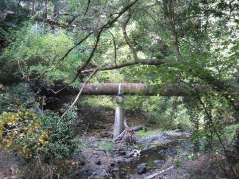 Pipeline across a creek