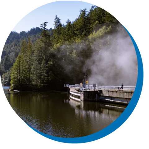 Alpine Dam in Spring