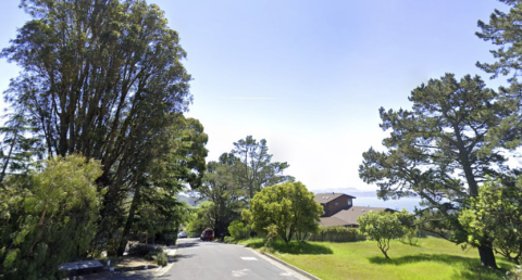 Road with tall trees on the left and grass, a house, and body of water on the right