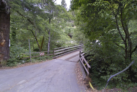 A rode and bridge surrounded by trees