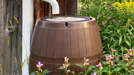 Rain barrel