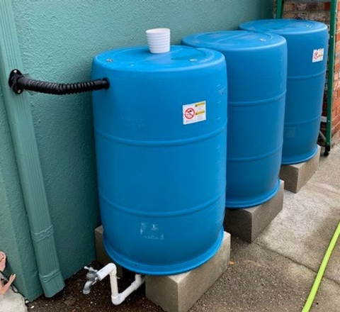 Three blue rain barrels are connected to a building's downspout. 