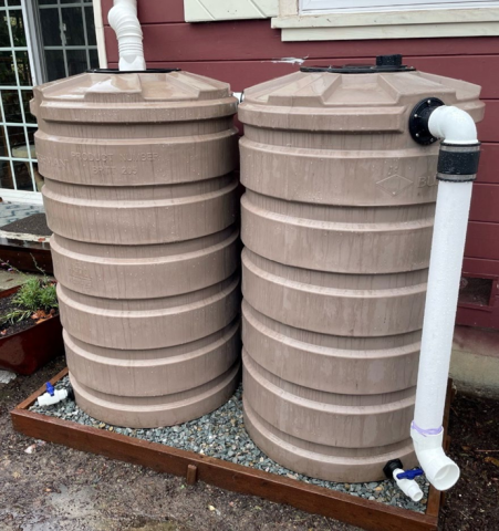Two brown rain barrels are connected to a white downspout next to a building.