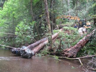 Lagunitas Creek habitat restoration work