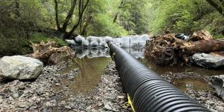 A cofferdam and bypass pipe in a creek