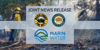 A firefighter in a forest with the words "JOINT NEWS RELEASE" and logos for Marin County Fire, California State Parks and Marin Water
