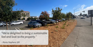 Image shows a landscaped commercial retail space.