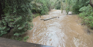 A creek with a large flow of water and two floating logs