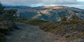 A fire road with rolling hills in the background