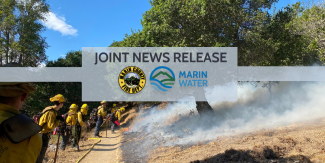 Firefighters stand at the top of an overlook behind superimposed logos for the Marin County Fire Department and Marin Water, as well as the text: "Joint News Release."