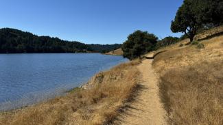 Trail adjacent to Bon Tempe Lake on the Mt. Tam Watershed.