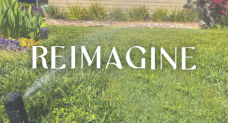 Image shows a residential lawn with the word "Reimagine" superimposed.