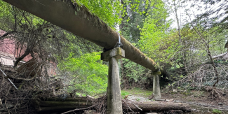 Image shows an elevated pipeline over a creek bed. 