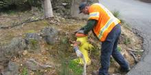 A man in a safety vest stands over a fire hydrant