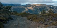 A fire road with rolling hills in the background