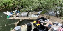 People performing fish monitoring work on a smolt trap in a creek