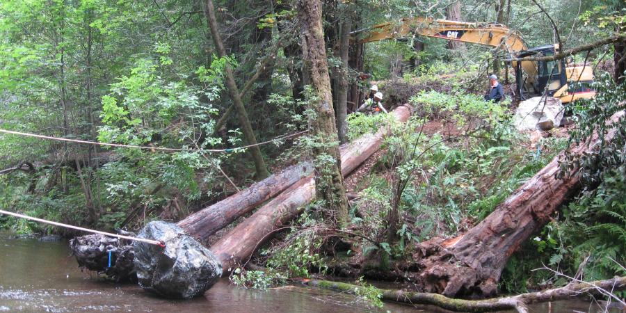 Lagunitas Creek habitat restoration work