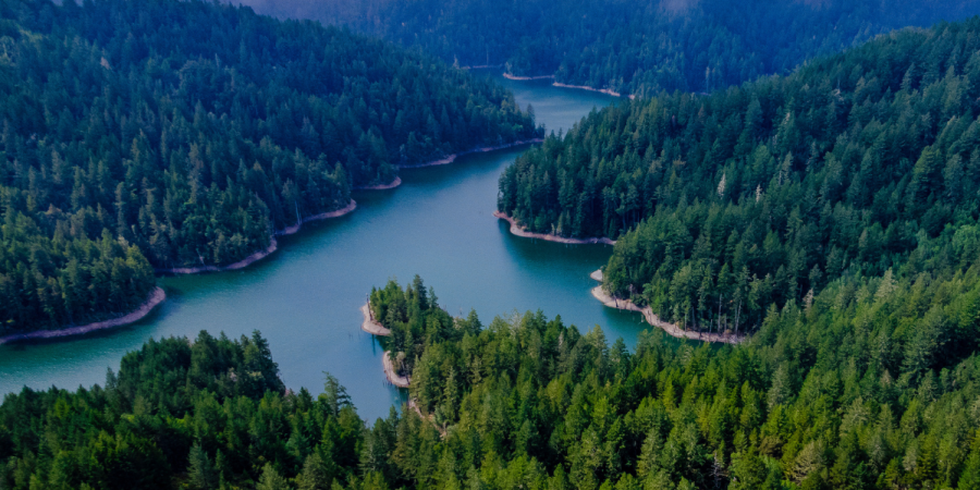 Aerial view of a blue reservoir tucked into tree-covered hillsides.